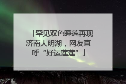 罕见双色睡莲再现济南大明湖，网友直呼“好运莲莲”