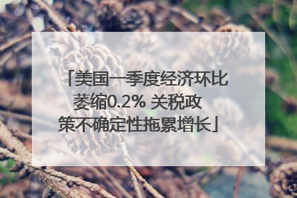 美国一季度经济环比萎缩0.2% 关税政策不确定性拖累增长