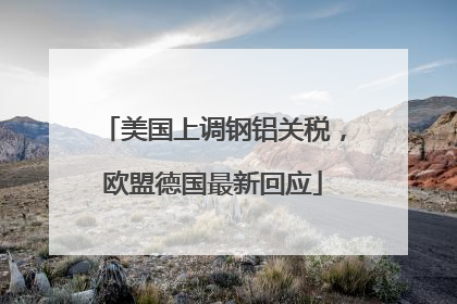 美国上调钢铝关税，欧盟德国最新回应