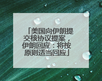 美国向伊朗提交核协议提案，伊朗回应：将按原则适当回应