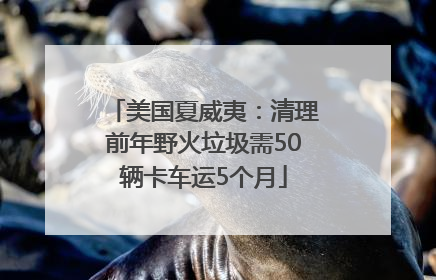 美国夏威夷：清理前年野火垃圾需50辆卡车运5个月