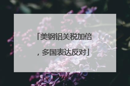 美钢铝关税加倍，多国表达反对