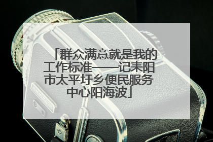 群众满意就是我的工作标准——记耒阳市太平圩乡便民服务中心阳海波