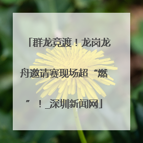 群龙竞渡！龙岗龙舟邀请赛现场超“燃”！_深圳新闻网