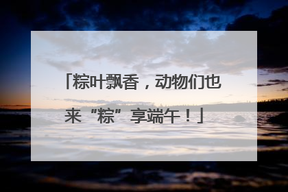 粽叶飘香，动物们也来“粽”享端午！