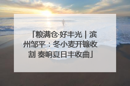 粮满仓·好丰光｜滨州邹平：冬小麦开镰收割 奏响夏日丰收曲