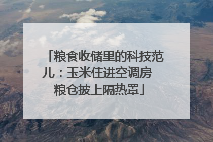 粮食收储里的科技范儿：玉米住进空调房 粮仓披上隔热罩