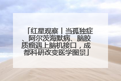 红星观察丨当孤独症、阿尔茨海默病、脑胶质瘤遇上脑机接口，成都科研改变医学图景
