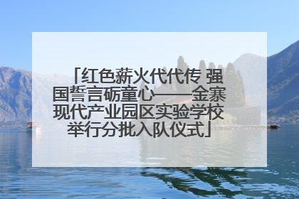 红色薪火代代传 强国誓言砺童心——金寨现代产业园区实验学校举行分批入队仪式