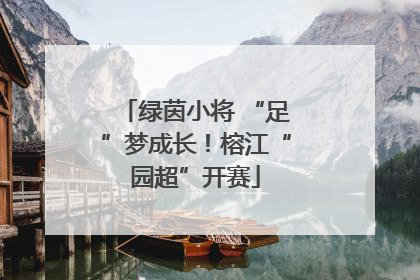 绿茵小将 “足”梦成长！榕江“园超”开赛