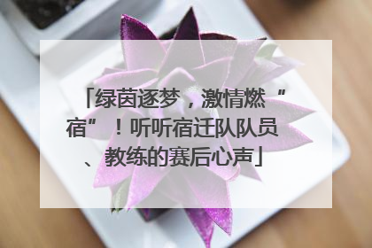 绿茵逐梦，激情燃“宿”！听听宿迁队队员、教练的赛后心声