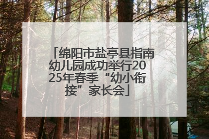 绵阳市盐亭县指南幼儿园成功举行2025年春季“幼小衔接”家长会