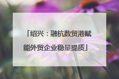 绍兴：融杭数贸港赋能外贸企业稳量提质
