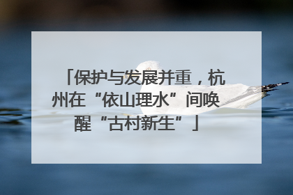 保护与发展并重，杭州在“依山理水”间唤醒“古村新生”