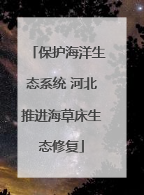 保护海洋生态系统 河北推进海草床生态修复
