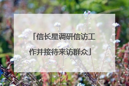 信长星调研信访工作并接待来访群众