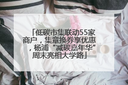 低碳市集联动55家商户，集章换券享优惠，杨浦“减碳嘉年华”周末亮相大学路
