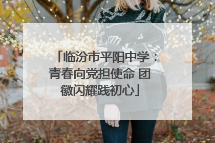 临汾市平阳中学：青春向党担使命 团徽闪耀践初心
