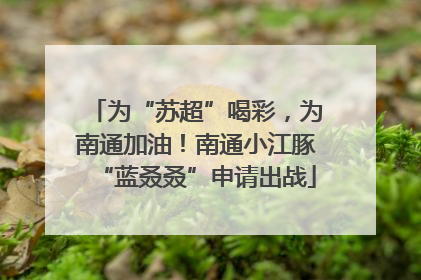 为“苏超”喝彩，为南通加油！南通小江豚“蓝叒叒”申请出战