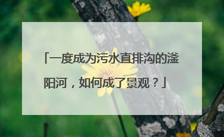 一度成为污水直排沟的滏阳河，如何成了景观？