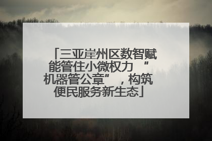 三亚崖州区数智赋能管住小微权力 “机器管公章”，构筑便民服务新生态