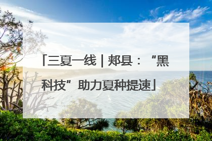 三夏一线｜郏县：“黑科技”助力夏种提速