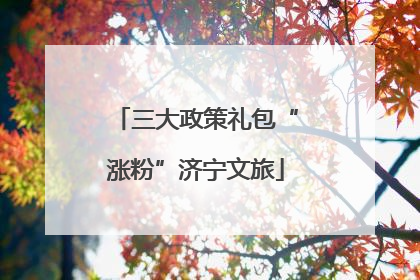 三大政策礼包“涨粉”济宁文旅