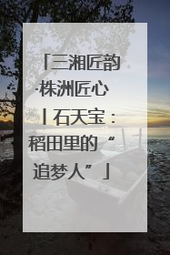 三湘匠韵·株洲匠心丨石天宝：稻田里的“追梦人”