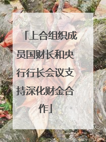 上合组织成员国财长和央行行长会议支持深化财金合作