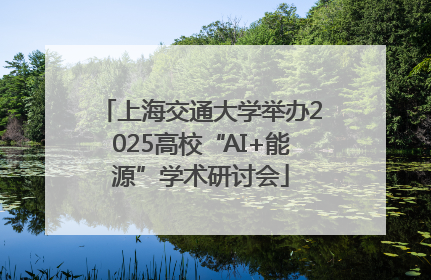 上海交通大学举办2025高校“AI+能源”学术研讨会
