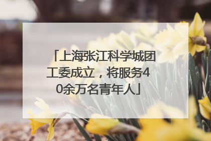 上海张江科学城团工委成立，将服务40余万名青年人
