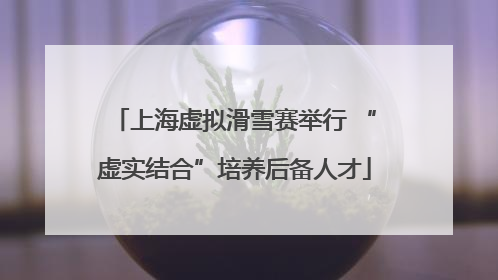 上海虚拟滑雪赛举行 “虚实结合”培养后备人才