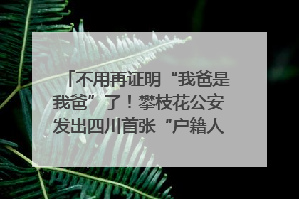 不用再证明“我爸是我爸”了！攀枝花公安发出四川首张“户籍人口直系亲属关系谱”