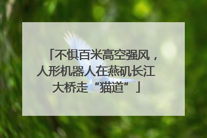 不惧百米高空强风，人形机器人在燕矶长江大桥走“猫道”