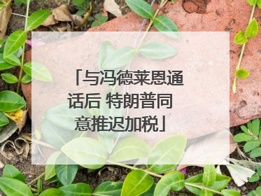 与冯德莱恩通话后 特朗普同意推迟加税