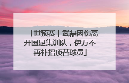 世预赛｜武磊因伤离开国足集训队，伊万不再补招顶替球员