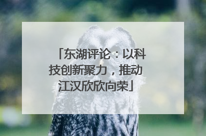 东湖评论：以科技创新聚力，推动江汉欣欣向荣