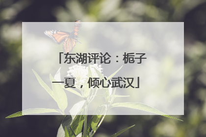 东湖评论：栀子一夏，倾心武汉