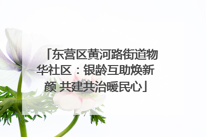 东营区黄河路街道物华社区：银龄互助焕新颜 共建共治暖民心