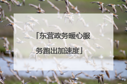 东营政务暖心服务跑出加速度