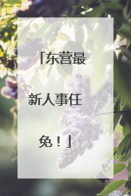 东营最新人事任免！