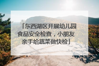 东西湖区开展幼儿园食品安全检查，小朋友亲手给蔬菜做快检