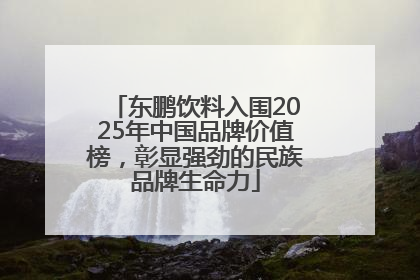 东鹏饮料入围2025年中国品牌价值榜，彰显强劲的民族品牌生命力
