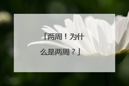 两周！为什么是两周？