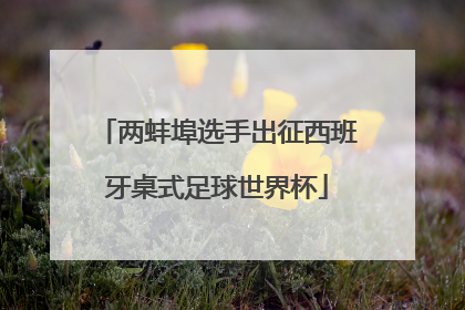 两蚌埠选手出征西班牙桌式足球世界杯