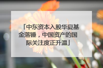 中东资本入股华夏基金落锤，中国资产的国际关注度正升温