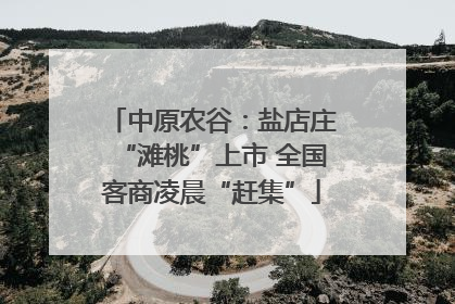 中原农谷：盐店庄“滩桃”上市 全国客商凌晨“赶集”