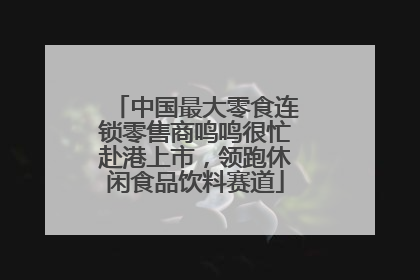 中国最大零食连锁零售商鸣鸣很忙赴港上市，领跑休闲食品饮料赛道