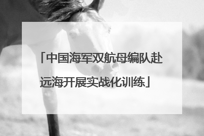 中国海军双航母编队赴远海开展实战化训练