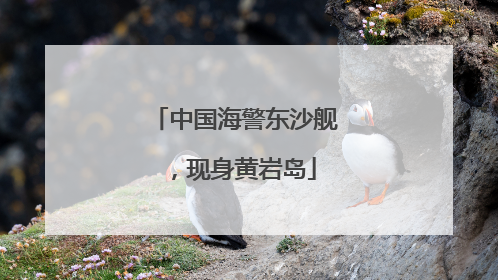 中国海警东沙舰，现身黄岩岛